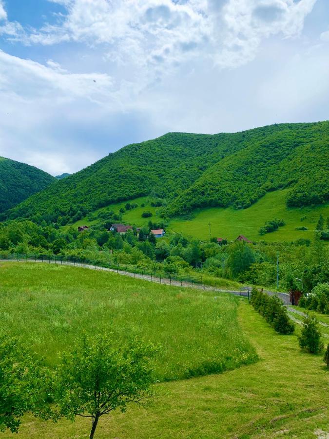 Rustic Cottage Сібіу Екстер'єр фото