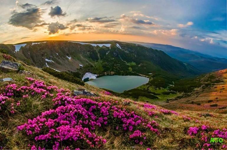 Rustic Cottage Сібіу Екстер'єр фото